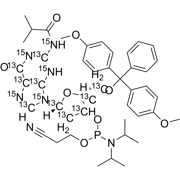 DMT-dG(ib) Phosphoramidite-13C10,15N5 2483830-16-4